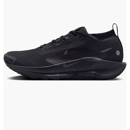 Кросівки чоловічі Nike Pegasus Trail 5 Gore-Tex Black FQ0908-002, Размер: 42, Наличие: Склад (1-3 дня), фото 