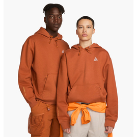 Худі унісекс Nike Acg Therma-Fit Fleece Pullover Hoodie Brown DZ3392-246, Размер: L, Наличие: Склад (1-3 дня), фото 