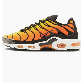 Кросівки чоловічі Nike Air Max Plus 2024 Orange HF0552-001, Размер: 42.5, Наличие: Склад (1-3 дня), фото 