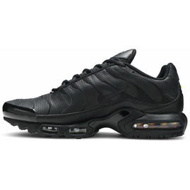 Кроссовки Nike Air Max Plus TN 'Triple Black' (AJ2029-001), Размер: 45.5, Наличие: Забрать сейчас, фото 