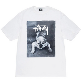 Stussy  BULLDOG T-SHIRT, Размер: S, Наличие: Забрать сейчас, фото 