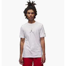 Футболка чоловіча Air Jordan Brand Jfx Ss Crew2 White FD7029-100, Розмір: M, Наявність: Склад (1-3 дня), фото 