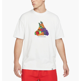 Футболка чоловіча Nike Acg Fruit & Veggies White DQ4954-121, Размер: XL, Наличие: Склад (1-3 дня), фото 