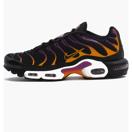Кросівки чоловічі Nike Air Max Plus Black Dx2663-001, Размер: 40.5, Наличие: Склад (1-3 дня), фото 