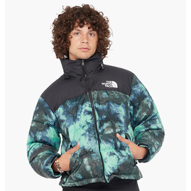 Куртка чоловіча The North Face Printed 1996 Retro Nuptse Jacket Green NF0A5IX4957, Размер: S, Наличие: Склад (1-3 дня), фото 