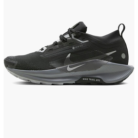 Кросівки жіночі Nike Pegasus Trail 5 Gore-Tex Black FQ0912-001, Размер: 37.5, Наличие: Склад (1-3 дня), фото 