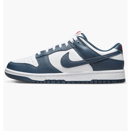 Кросівки чоловічі Nike Dunk Low Retro Valerian Blue Blue Dd1391-400, Розмір: 42.5, Наявність: Склад (1-3 дня), фото 