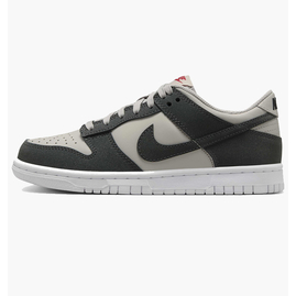 Кросівки чоловічі Nike Dunk Low Light Grey FZ1000-001, Розмір: 40, Наявність: Склад (1-3 дня), фото 
