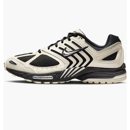Кросівки чоловічі Nike Air Pegasus 2005 Beige/Black HQ5403-102, Размер: 44.5, Наличие: Склад (1-3 дня), фото 