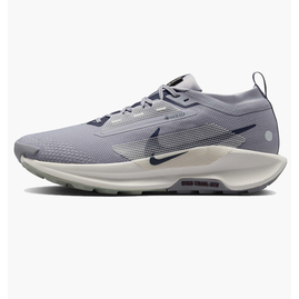 Кросівки чоловічі Nike Pegasus Trail 5 Gtx Grey FQ0908-006, Размер: 40, Наличие: Склад (1-3 дня), фото 
