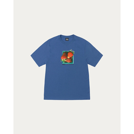 Stussy BERRIES TEE, Размер: S, Наличие: Склад США (10-24 дня), фото 