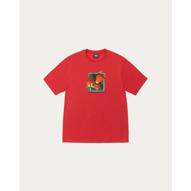 Stussy BERRIES TEE, Размер: S, Наличие: Склад США (10-24 дня), фото 