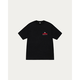 Stussy SUPERIOR QUALITY TEE, Розмір: S, Наявність: Склад США (10-24 дня), фото 