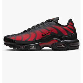 Кросівки чоловічі Nike Air Max Plus Black DZ4507-600, Розмір: 44, Наявність: Склад (1-3 дня), фото 