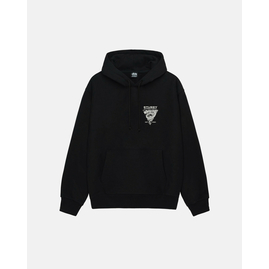 Stussy DRAGON HOODIE, Размер: S, Наличие: Склад США (10-24 дня), фото 
