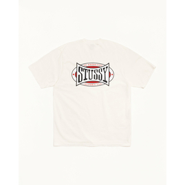 Stussy CHAMPION OVAL TEE PIGMENT DYED, Размер: S, Наличие: Склад США (10-24 дня), фото 
