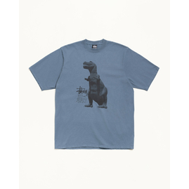 Stussy BIG & MEATY TEE PIGMENT DYED, Размер: S, Наличие: Склад США (10-24 дня), фото 