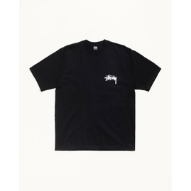 Stussy VICTORIA TEE, Размер: S, Наличие: Склад США (10-24 дня), фото 