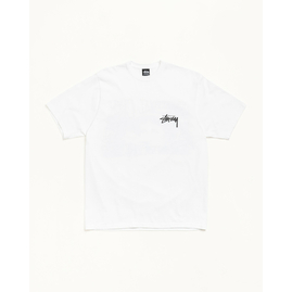 Stussy VICTORIA TEE, Размер: S, Наличие: Склад США (10-24 дня), фото 