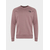 Кофта The North Face Red Box (NF0A4SZ9I0V1), Размер: L, Наличие: Забрать сейчас, фото 
