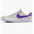 Кросівки чоловічі Nike Sb Zoom Pogo Plus Beige DV5469-003, Размер: 39, Наличие: Склад (1-3 дня), фото 