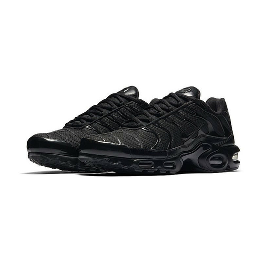 Чоловічі кросівки NIKE AIR MAX PLUS 604133-050, Размер: 44, Наличие: Склад (1-3 дня), фото , изображение 2