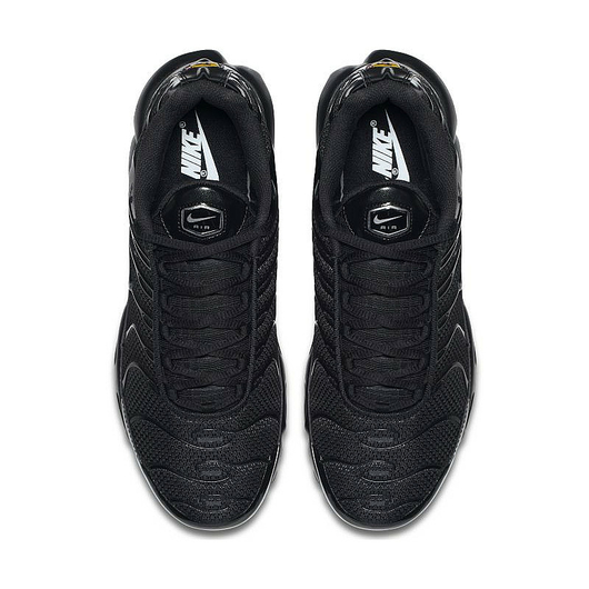 Чоловічі кросівки NIKE AIR MAX PLUS 604133-050, Размер: 44, Наличие: Склад (1-3 дня), фото , изображение 3