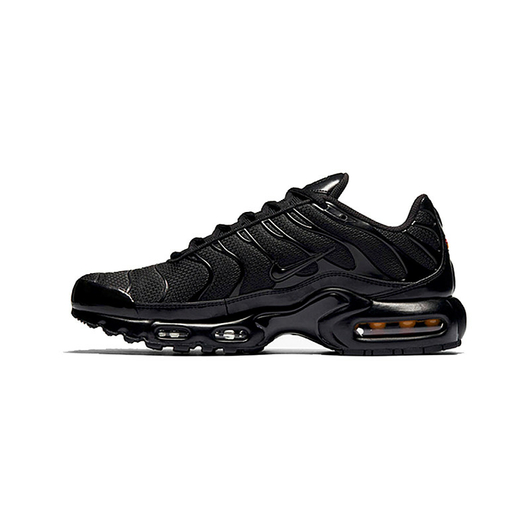 Чоловічі кросівки NIKE AIR MAX PLUS 604133-050, Размер: 44, Наличие: Склад (1-3 дня), фото 
