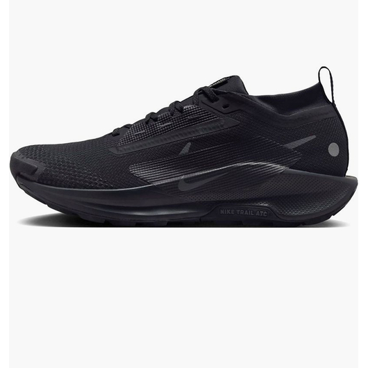 Кросівки чоловічі Nike Pegasus Trail 5 Gore-Tex Black FQ0908-002, Размер: 42, Наличие: Склад (1-3 дня), фото 