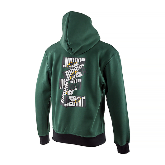 Худі чоловіче Air Jordan M J Sprt Dna Hbr Flc Po Green DC9639-333, Размер: M, Наличие: Склад (1-3 дня), фото , изображение 3
