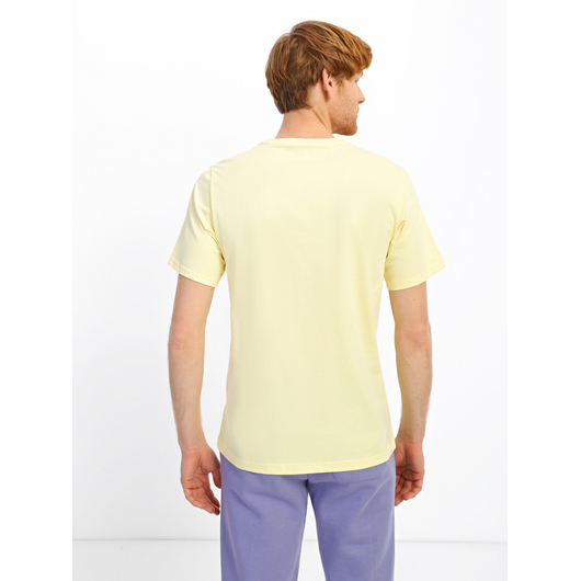 Футболка чоловіча Converse Mother Nature Tee Yellow 10023787-231, Размер: S, Наличие: Склад (1-3 дня), фото , изображение 3