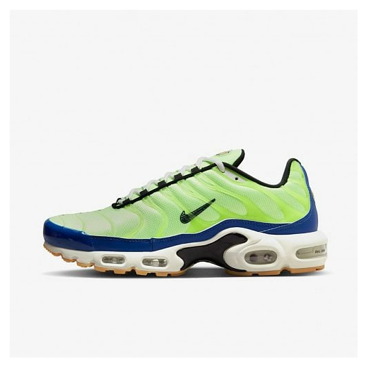 Чоловічі кросівки NIKE AIR MAX PLUS SE (DZ0480-300), Размер: 41, Наличие: Забрать сейчас, фото 