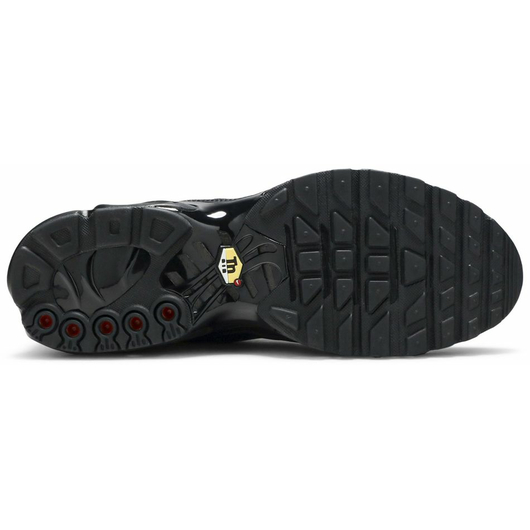 Кроссовки Nike Air Max Plus TN 'Triple Black' (AJ2029-001), Размер: 45.5, Наличие: Забрать сейчас, фото , изображение 3