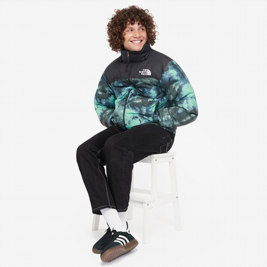 Куртка чоловіча The North Face Printed 1996 Retro Nuptse Jacket Green NF0A5IX4957, Размер: S, Наличие: Склад (1-3 дня), фото , изображение 3