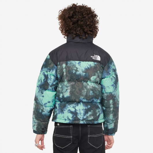 Куртка чоловіча The North Face Printed 1996 Retro Nuptse Jacket Green NF0A5IX4957, Размер: S, Наличие: Склад (1-3 дня), фото , изображение 4