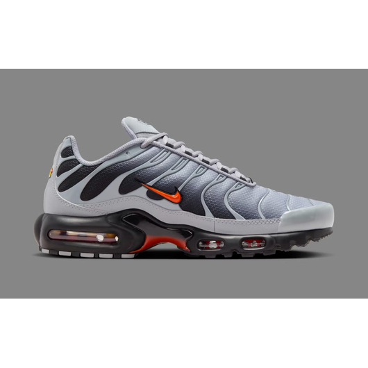 Кросівки чоловічі Nike Air Max Plus Wolf Grey Grey DM0032-011, Размер: 48.5, Наличие: Склад (1-3 дня), фото , изображение 2