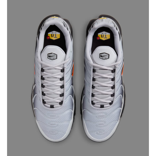Кросівки чоловічі Nike Air Max Plus Wolf Grey Grey DM0032-011, Размер: 48.5, Наличие: Склад (1-3 дня), фото , изображение 3