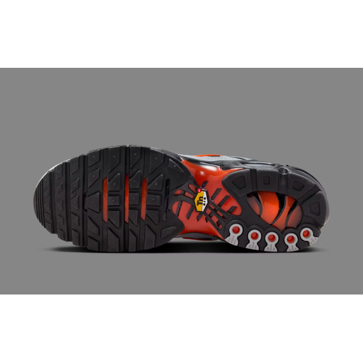 Кросівки чоловічі Nike Air Max Plus Wolf Grey Grey DM0032-011, Размер: 49.5, Наличие: Склад (1-3 дня), фото , изображение 5