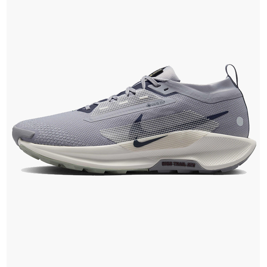 Кросівки чоловічі Nike Pegasus Trail 5 Gtx Grey FQ0908-006, Размер: 40, Наличие: Склад (1-3 дня), фото 