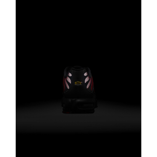 Кросівки чоловічі Nike Air Max Plus Black DZ4507-600, Размер: 44, Наличие: Склад (1-3 дня), фото , изображение 3