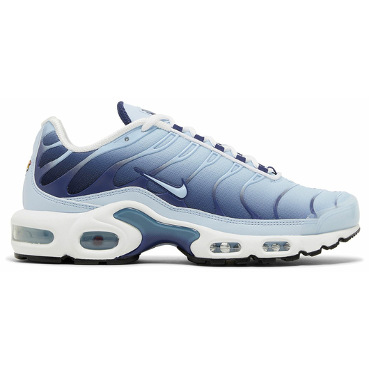 Nike Air Max Plus 'Celestine Blue', Размер: 41, Наличие: Забрать сейчас, фото , изображение 2