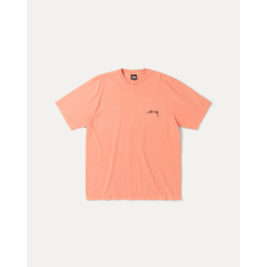 Stussy SERPENT TEE PIGMENT DYED, Размер: S, Наличие: Склад США (10-24 дня), фото 