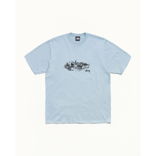 Stussy FAWN TEE, Размер: S, Наличие: Склад США (10-24 дня), фото 