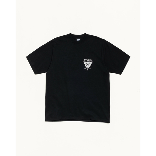 Stussy DRAGON TEE, Размер: S, Наличие: Склад США (10-24 дня), фото 