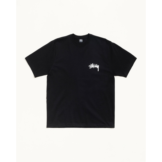 Stussy VICTORIA TEE, Размер: S, Наличие: Склад США (10-24 дня), фото 